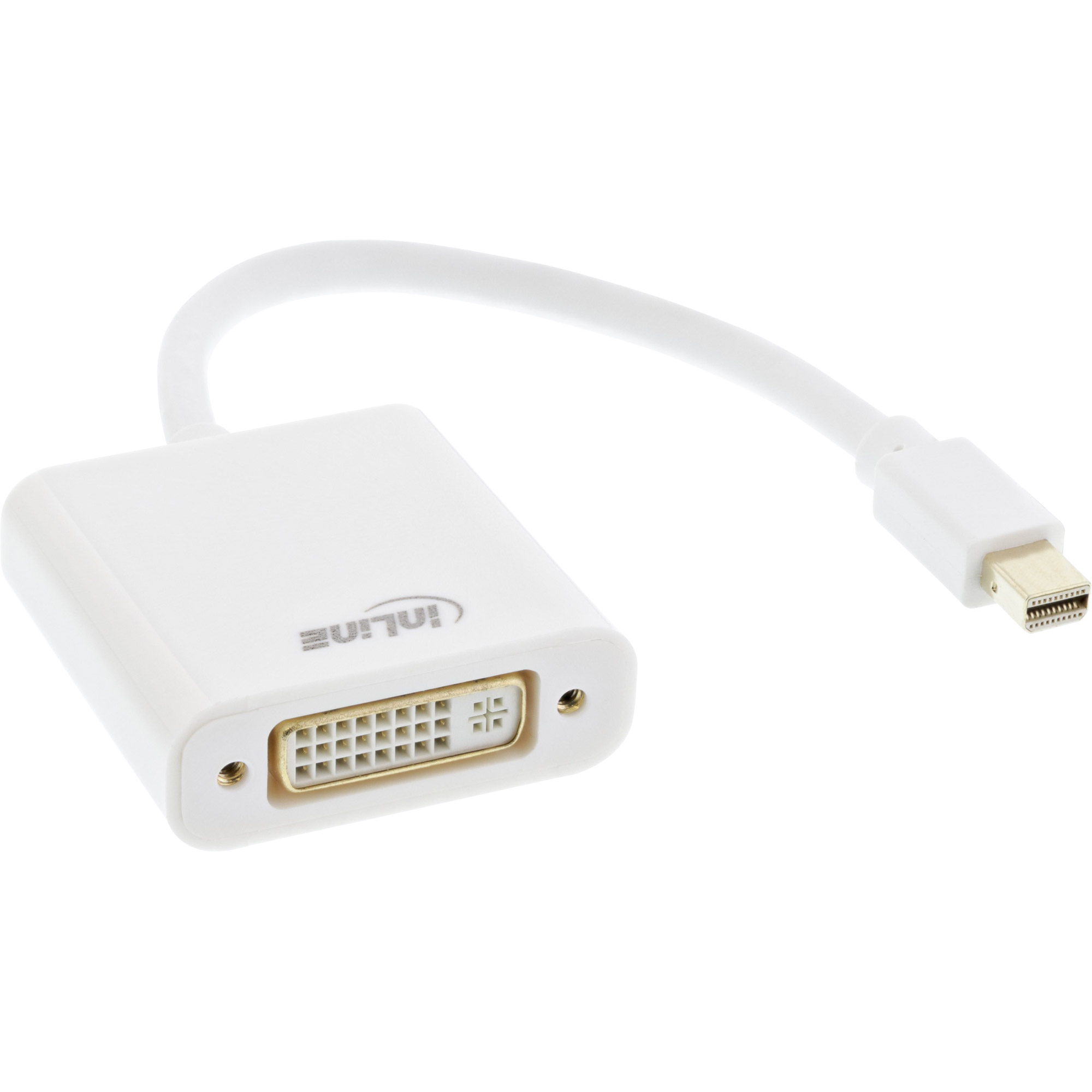 Inline® Mini DisplayPort zu DVI Adapter, weiß, 0,15m