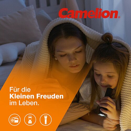 2x Camelion NiMH Baby C Akku 2500mAh HR14 Classic Akku