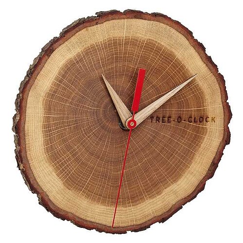 "'Tree-o-Clock" Wanduhr 60.3046.08 "'Tree-o-Clock" Wanduhr 60.3046.08