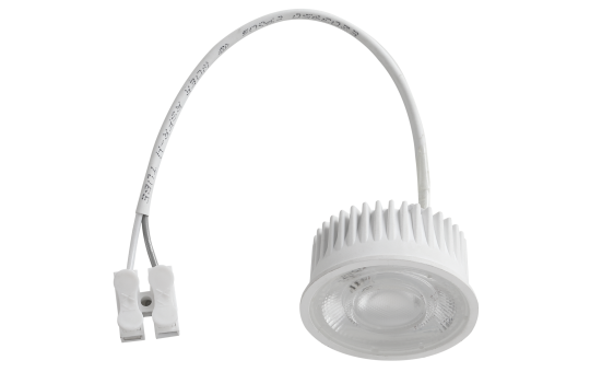 LED-Modul EINLICHT ''Bronn'' 2,5W, 450 Lumen, 50x25mm, 4000K, neutralweiß