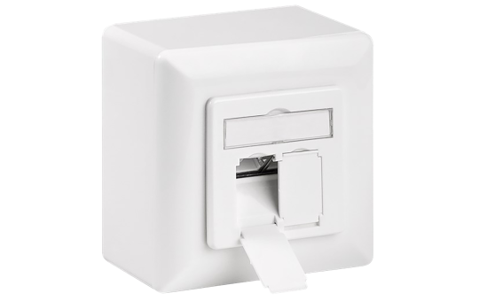 Netzwerkdose, Aufputz, CAT 6, 2x RJ45