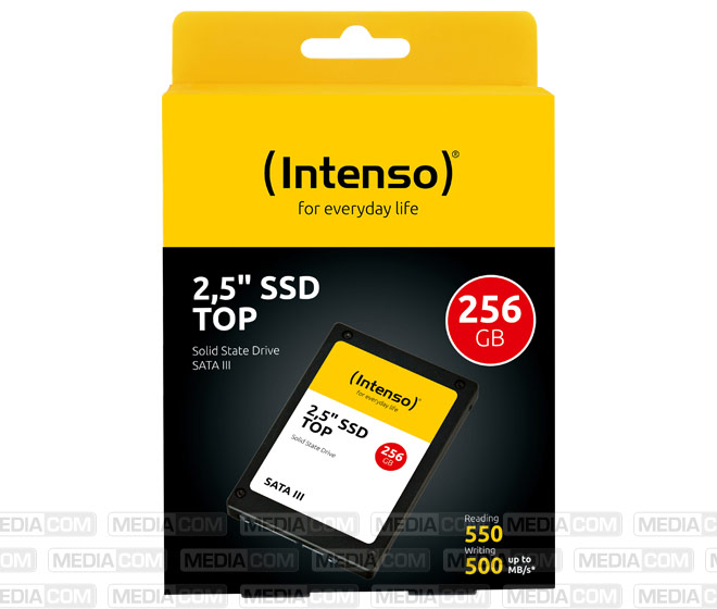 SSD 256GB, SATA-III, 6.35cm (2.5''), Top