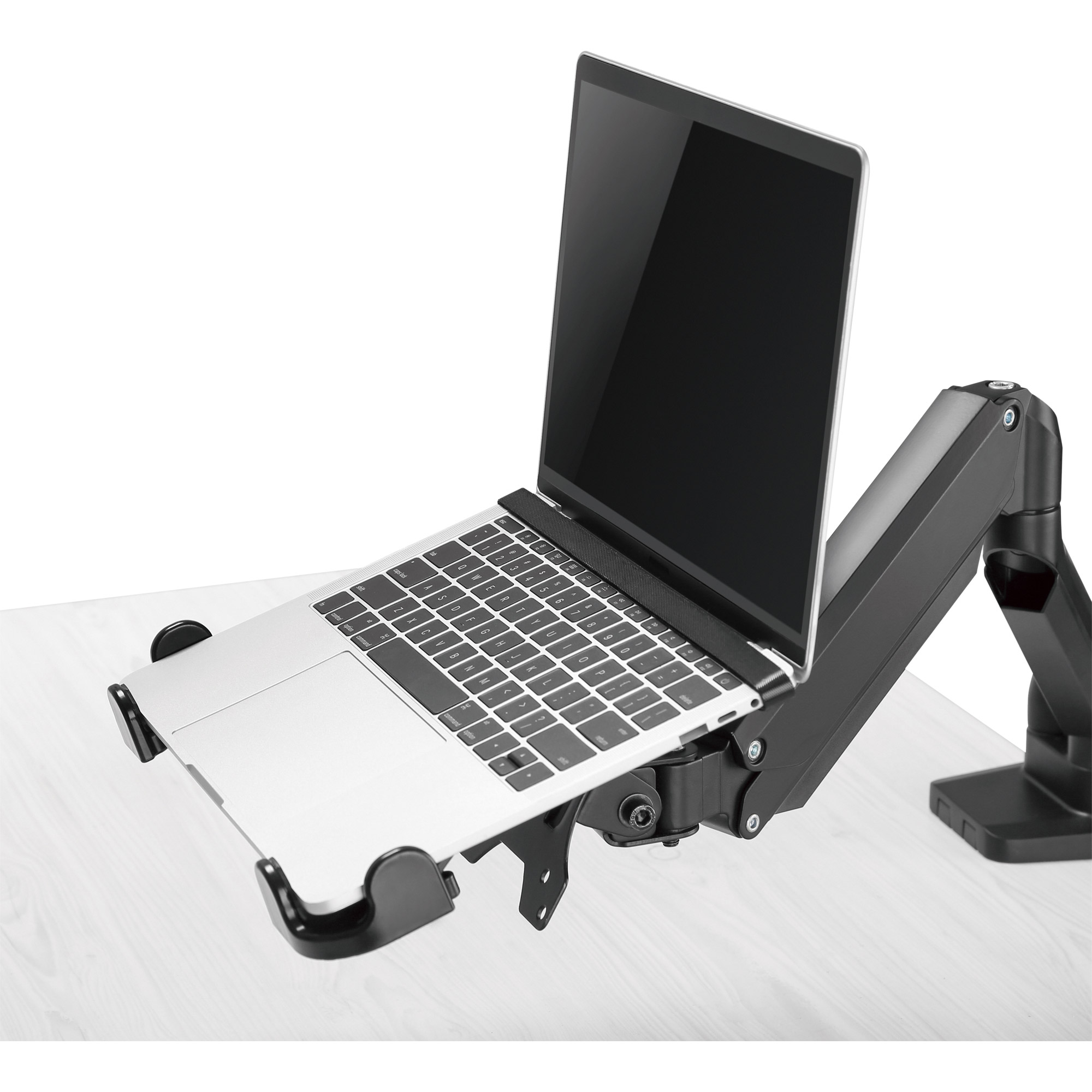 Inline® Notebook-Halterung bis 17" mit VESA 75/100 Montageplatte