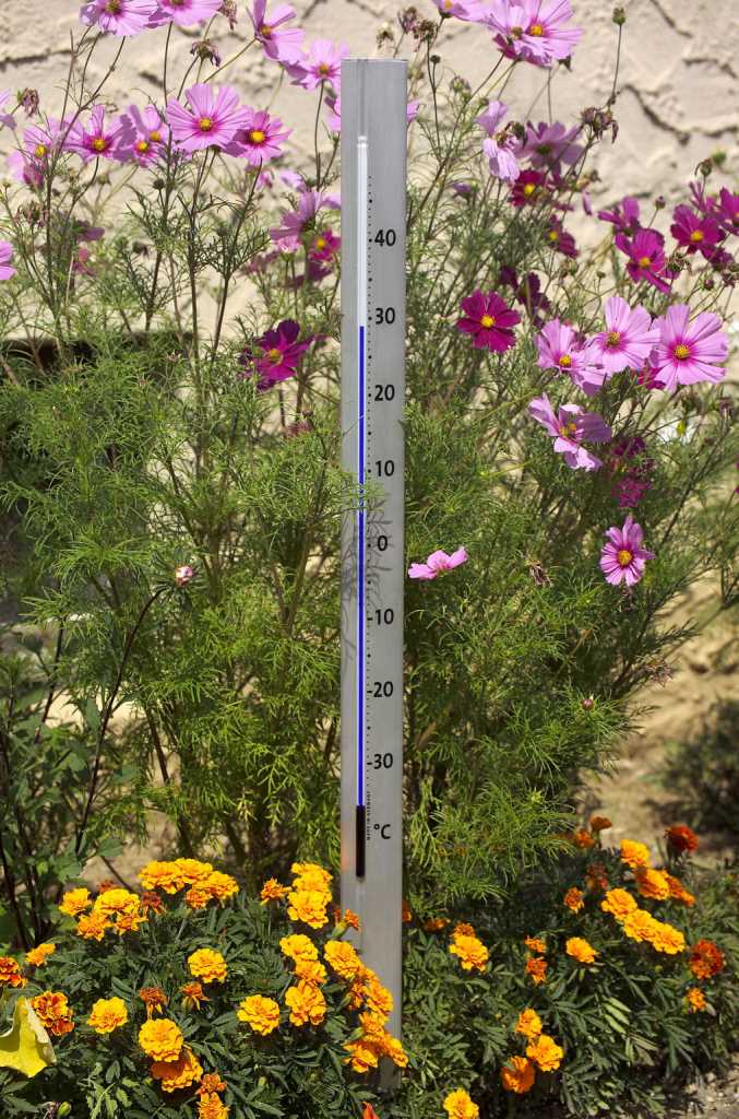 Central Park Design-Gartenthermometer 12.2005