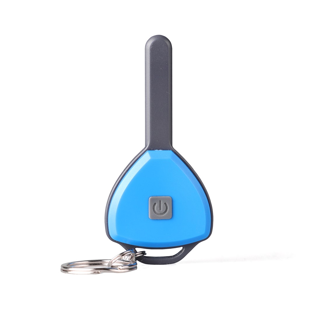 LED KEY CHAIN LIGHT COB