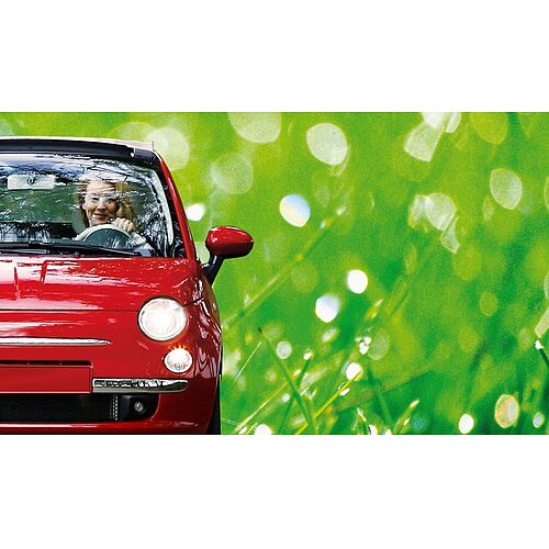 Philips H1 - P14,5s 12V 55W LongLife EcoVision - 2er Blister