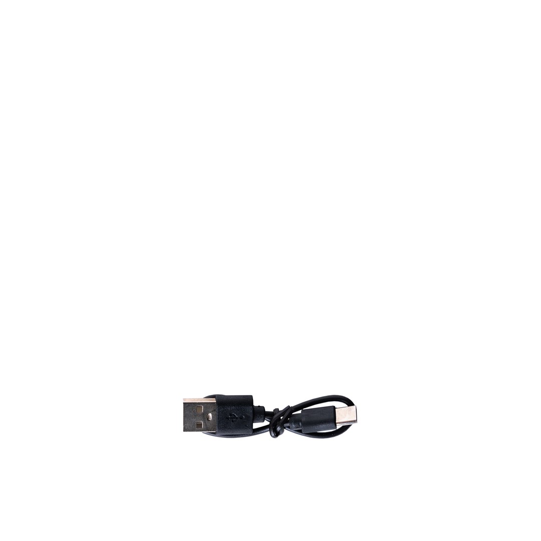 LED KEY CHAIN COB Floodlight, USB C