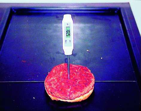 Pocket-Digitemp S Digitales Einstichthermometer 30.1013