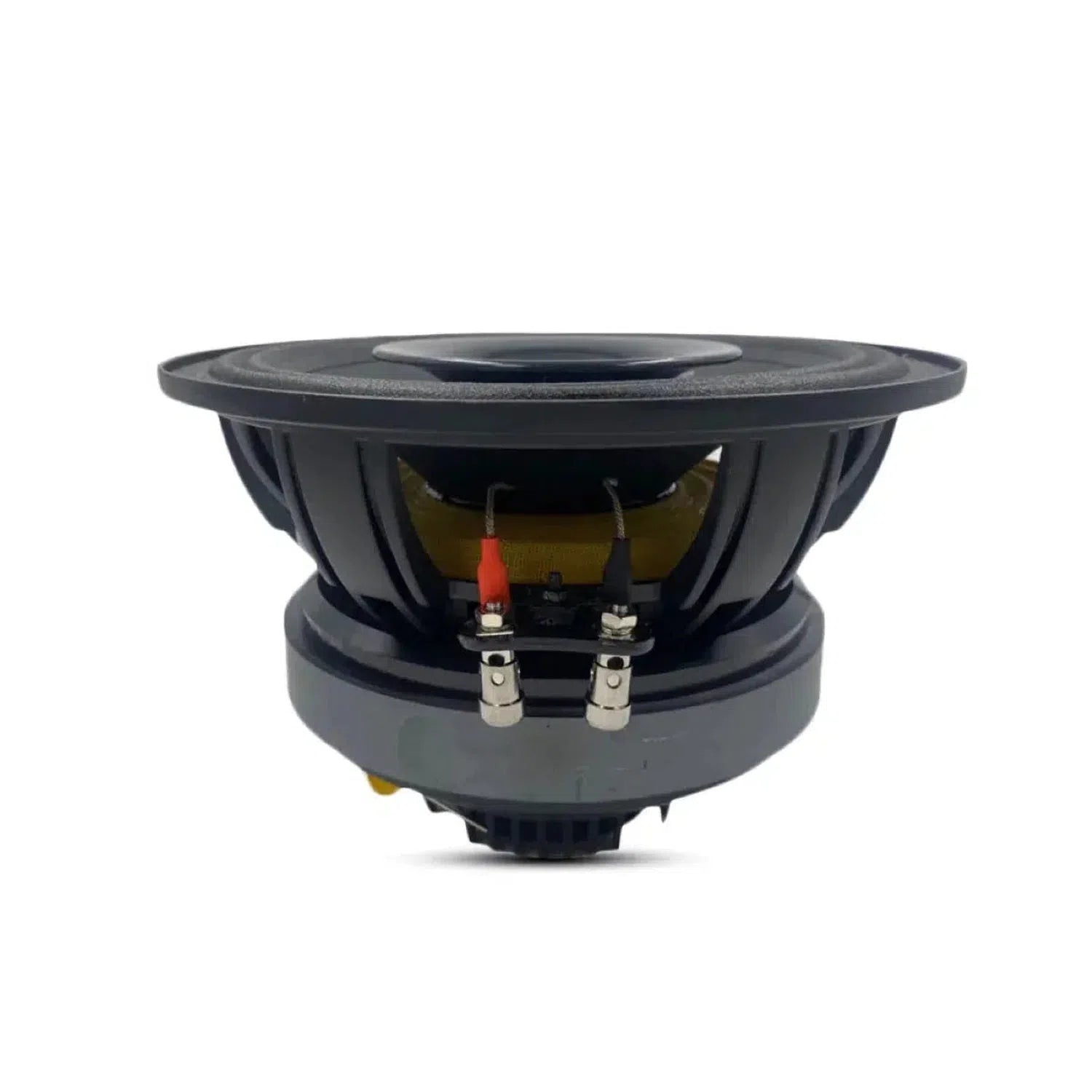 B2 Audio Rage 8CXP 8 Zoll Koaxial-Lautsprecher