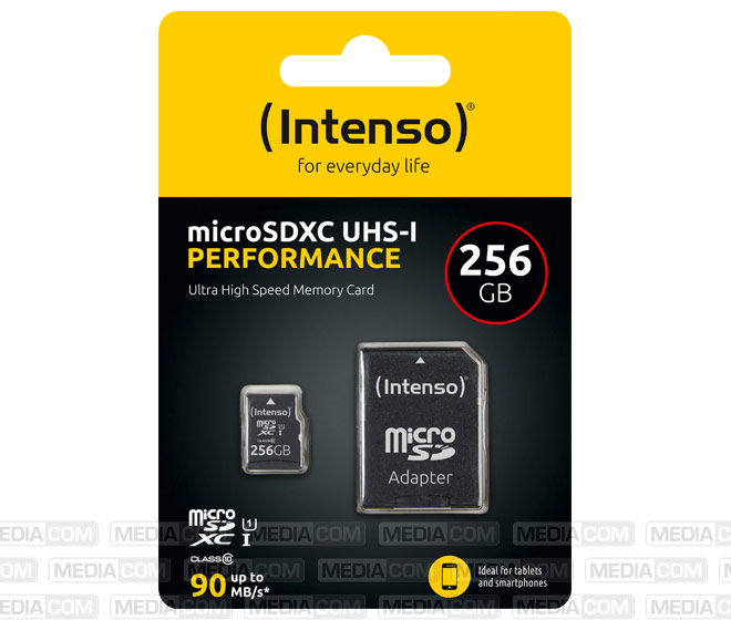 microSDXC Card 256GB, Performance, Class 10, U1