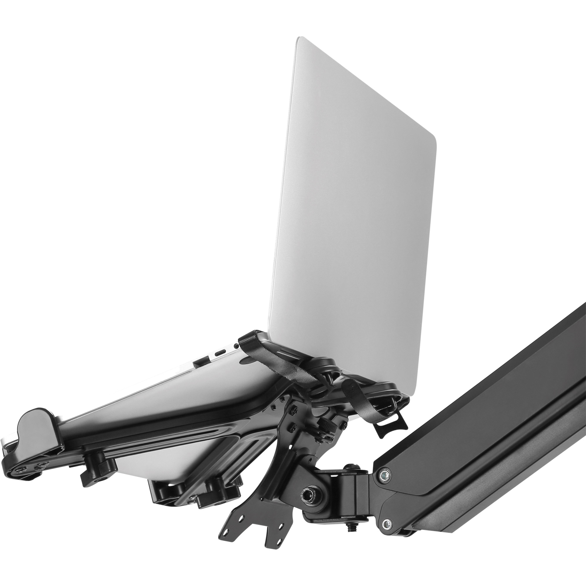 Inline® Notebook-Halterung bis 17" mit VESA 75/100 Montageplatte