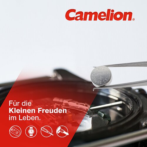 100x Camelion AG8 LR55 LR1121 391 1.5V Alkaline Knopfzelle